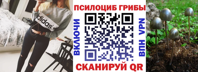 Галлюциногенные грибы ЛСД Тарко-Сале